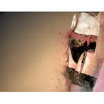 Papier Peint Panoramique Femme Culotte Peinture