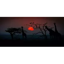 Papier Peint Savane Couché de Soleil Girafe