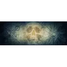 Papier Peint Panoramique Tête de mort boussole