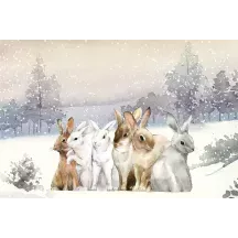 Papier Peint Panoramique Lapins watercolor