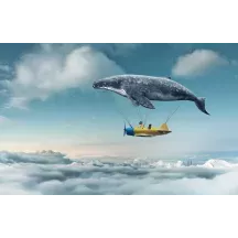 Papier Peint Panoramique Avion Baleine Féérie