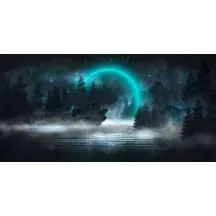 Papier Peint Panoramique Forêt Fantastique