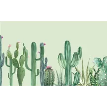 Papier Peint Panoramique Cactus 2