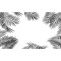 Papier Peint Panoramique Feuilles Palmier Noir et Blanc