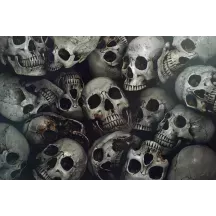 Papier Peint Panoramique Tête de Mort Skull 1