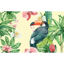 Papier peint Panoramique Tropical Toucan
