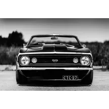 Papier Peint Panoramique Chevelle SS