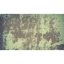 Papier peint Panoramique Peinture Ecaillée