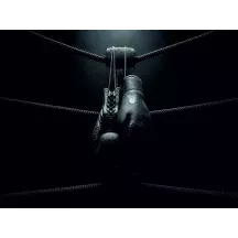 Papier Peint Panoramique Boxe Gants Vintage