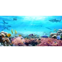 Papier Peint Panoramique Mer Poisson Aquarium