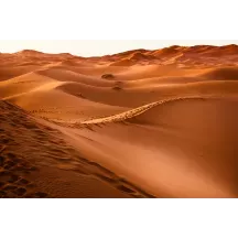 Papier Peint Panoramique Dunes Désert