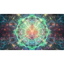 Papier Peint Panoramique Tenture Mandala Alien