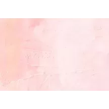 Papier peint Panoramique Mur Aquarelle Rose