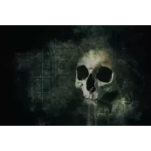 Papier Peint Panoramique Crane Cimetière Eglise