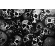 Papier Peint Panoramique Tête de Mort Skull 2