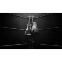 Papier Peint Panoramique Boxe Gants Vintage
