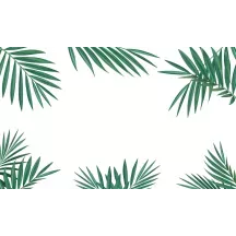 Papier Peint Panoramique Feuilles Palmier