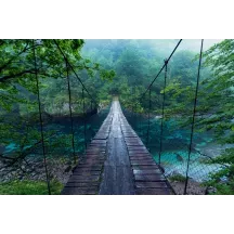 Papier Peint Panoramique Pont Jungle