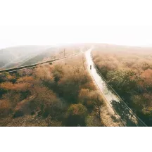 Papier peint Panoramique Route Forêt