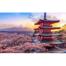 Papier Peint Panoramique Japon Mont Fuji