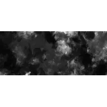 Papier Peint Panoramique Peinture Noir