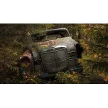 Papier peint Panoramique Epave Voiture Foret