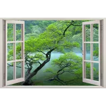 Papier Peint Panoramique Trompe l'Oeil Foret Fenêtre