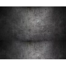 Papier peint Panoramique Metal Griffé