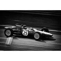 Papier Peint Panoramique Vintage Lotus