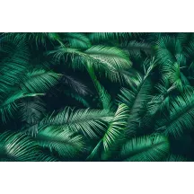 Papier Peint Panoramique Feuilles de Palmier 3