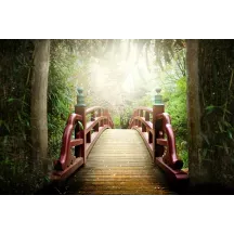 Papier Peint Panoramique Jardin Japonais