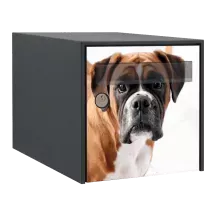 Sticker boîte aux lettres personnalisé Boxer