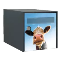 Sticker boîte aux lettres personnalisé Vache Rigolote
