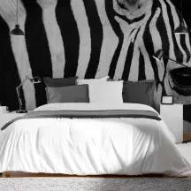 Papier Peint Panoramique Zèbre Nature