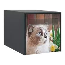 Sticker boîte aux lettres personnalisé Ragdoll 2