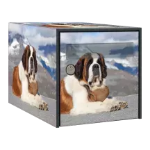 Sticker boîte aux lettres personnalisé Saint Bernard 3