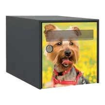 Sticker boîte aux lettres personnalisé Yorkshire Terrier 2