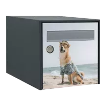 Sticker boîte aux lettres personnalisé Shiba Inu