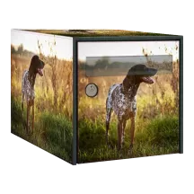 Sticker boîte aux lettres personnalisé Braque