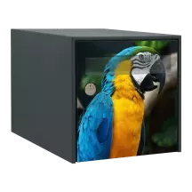 Sticker boîte aux lettres personnalisé Perroquet