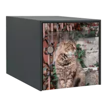 Stickers boîte aux lettres Chat Norvégien 2