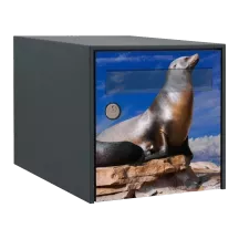 Sticker boîte aux lettres personnalisé Otarie