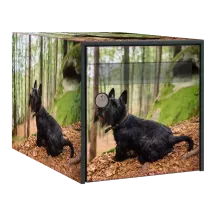 Sticker boîte aux lettres personnalisé Terrier Ecossais