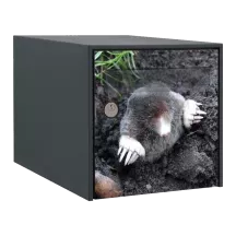 Sticker boîte aux lettres personnalisé Taupe