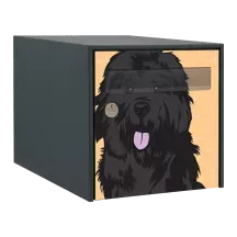 Sticker boîte aux lettres personnalisé Terre Neuve 2