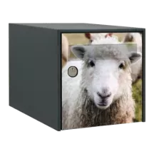 Sticker boîte aux lettres personnalisé Mouton rigolo