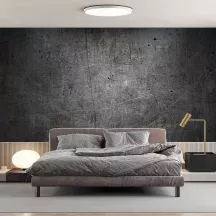 Papier peint Panoramique Metal Griffé