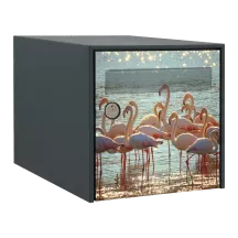Sticker boîte aux lettres personnalisé Flamant rose