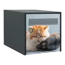 Sticker boîte aux lettres personnalisé Exotic Shorthair 2