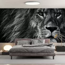 Papier Peint Panoramique Lion Nature